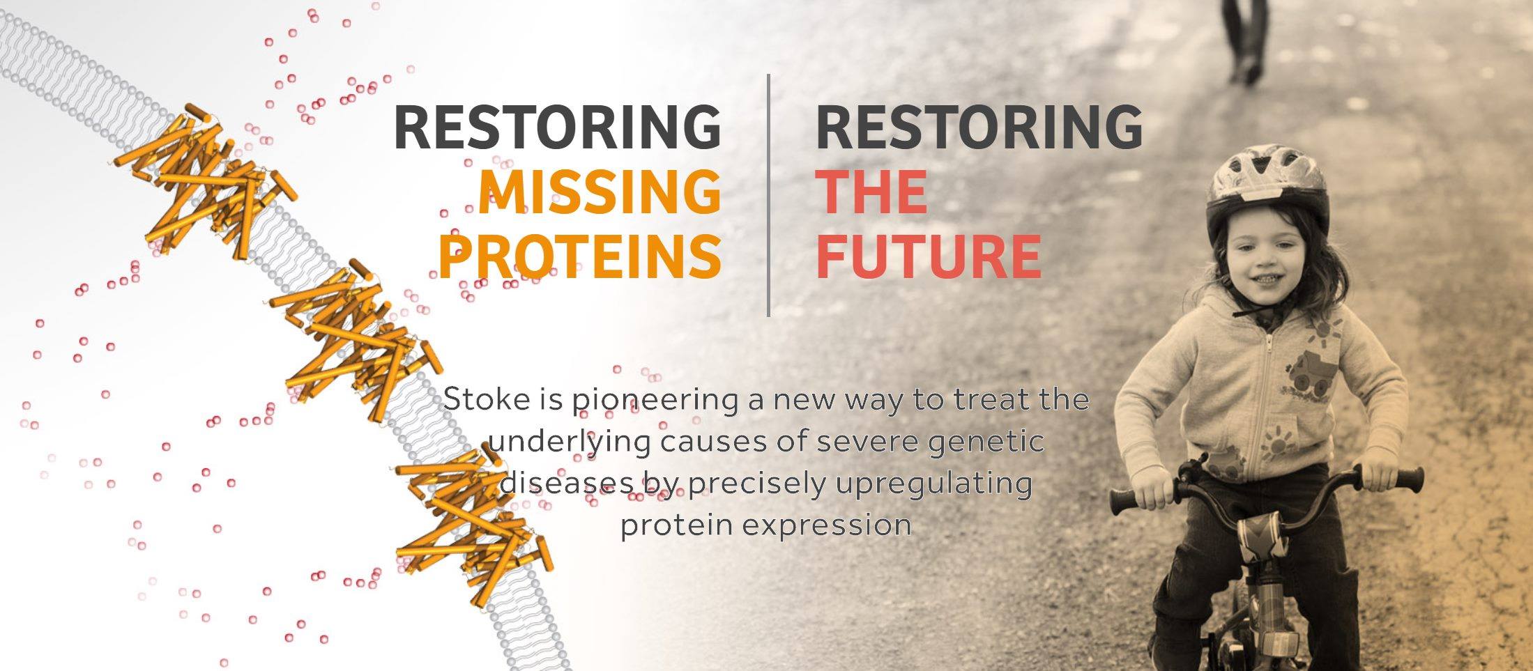 Stoke Restoring the future