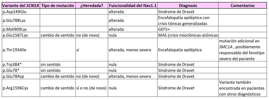 Variantes SCN1A