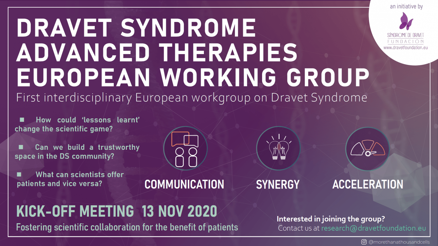 Dravet Syndrome Advanced Therapies European Working Group