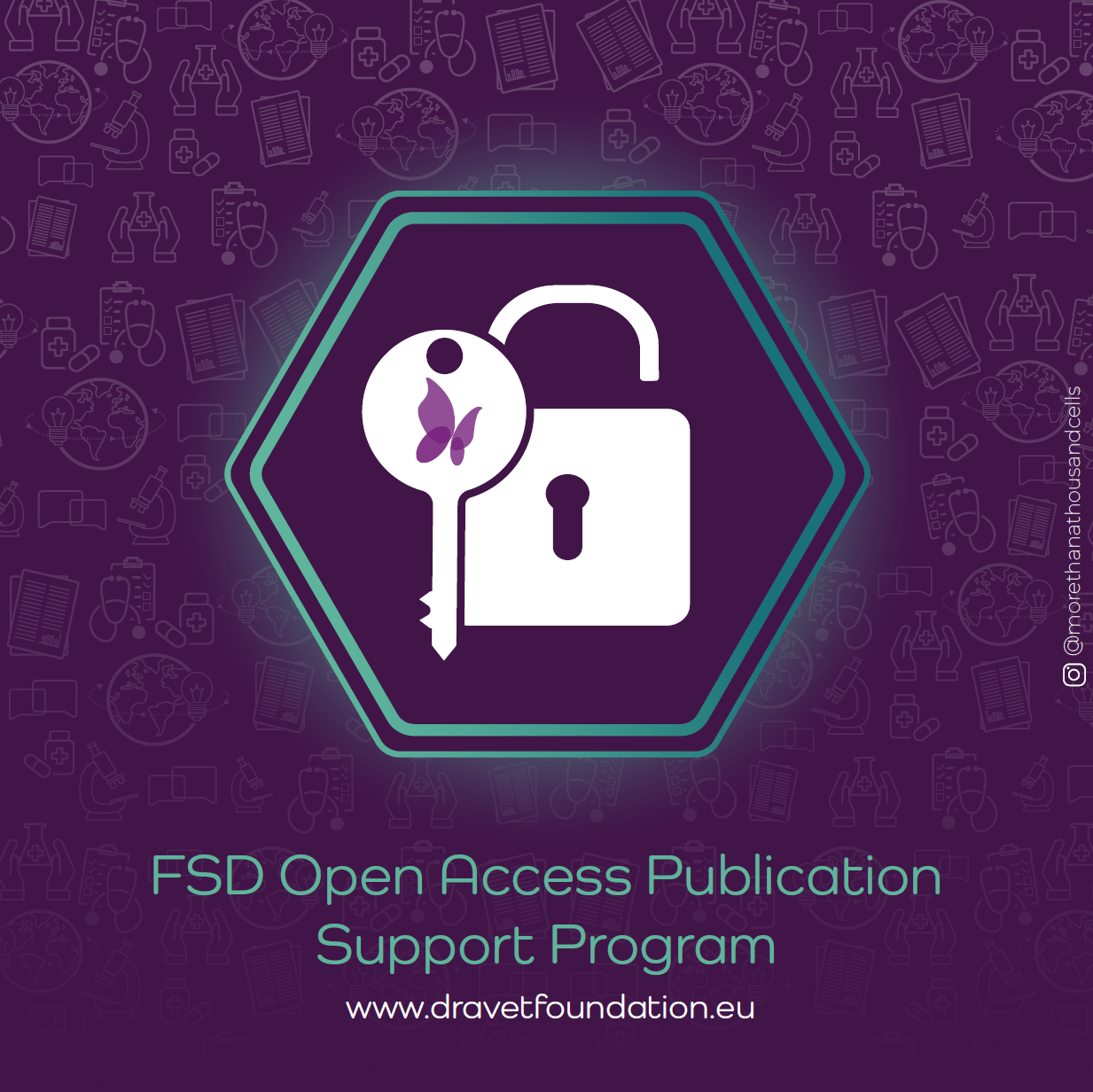 FSD Open-Access Publication Support Program