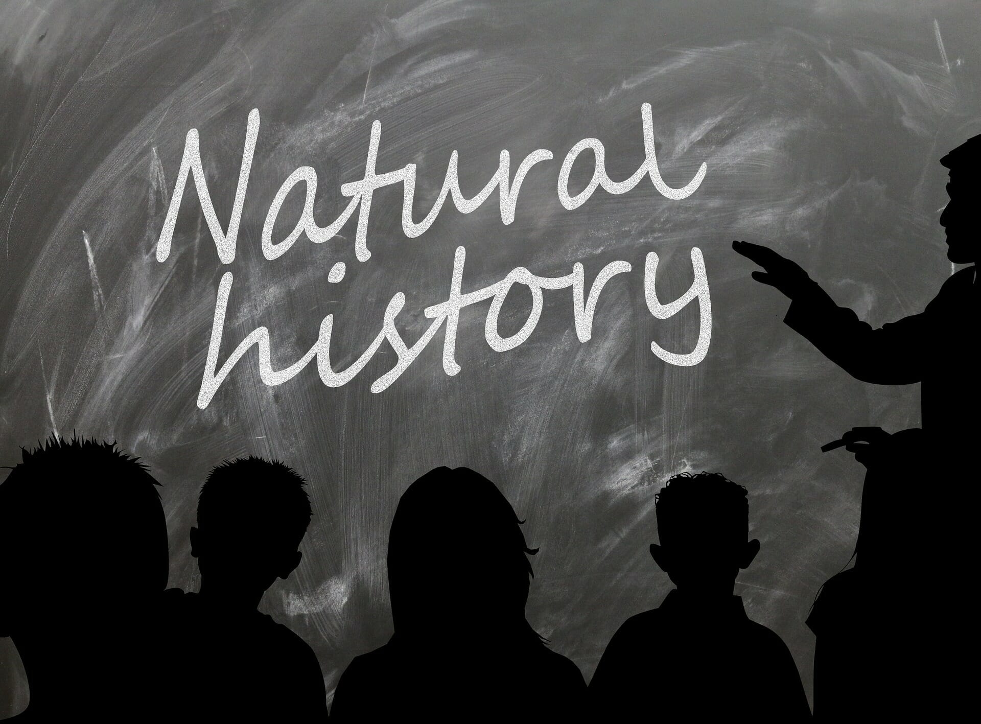 Natural history