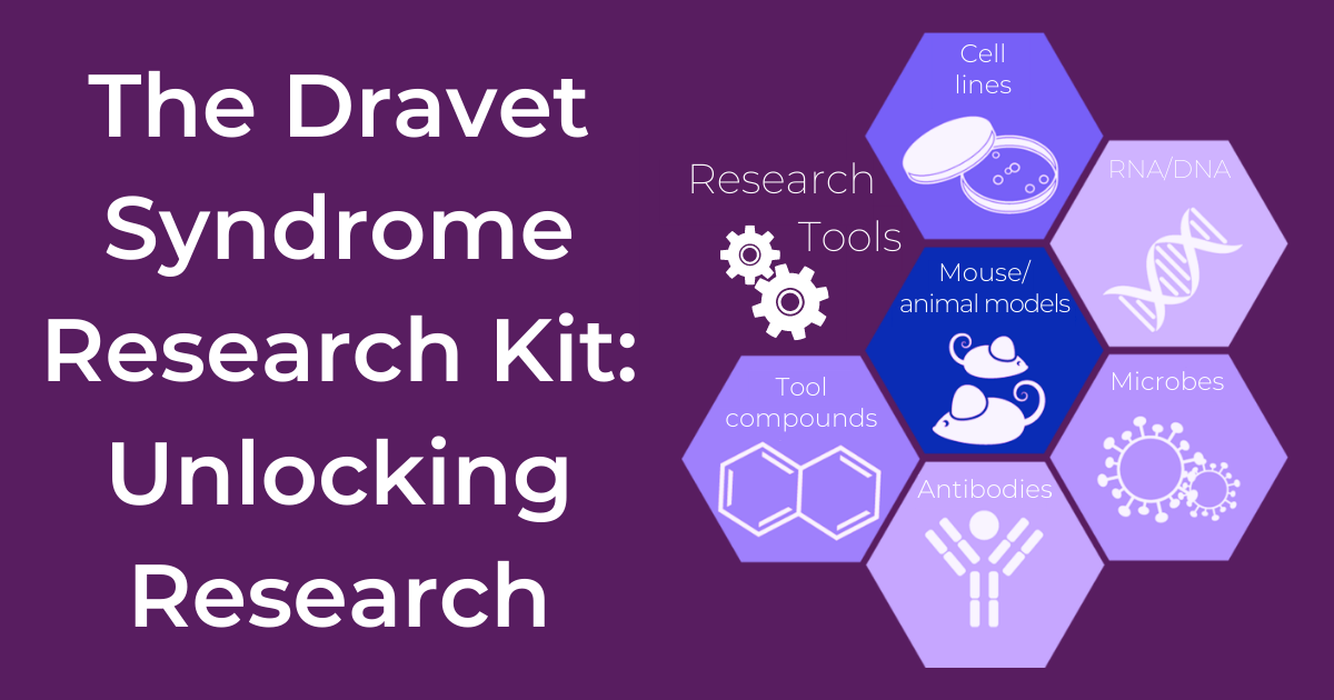 Kit de investigación Dravet